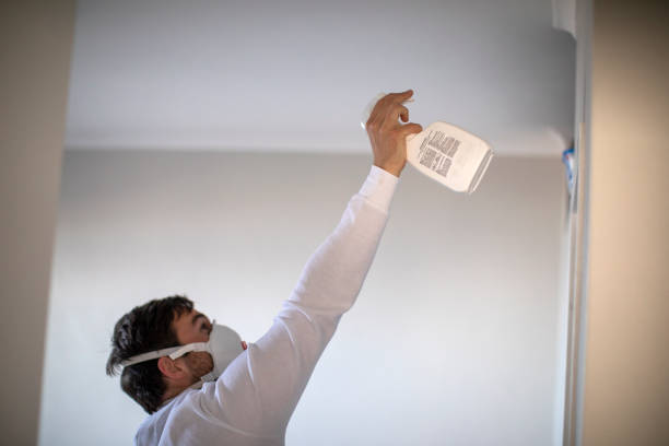 Best Toxic Mold Removal  in Plains, KS