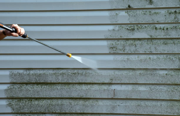 Best Residential Mold Removal  in Plains, KS